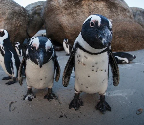 Using “Thin” Digital Twins to Gang-Up on Ransomware