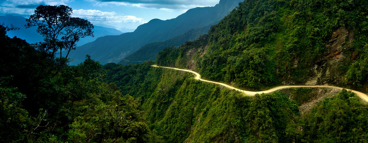 Rainforest Connection