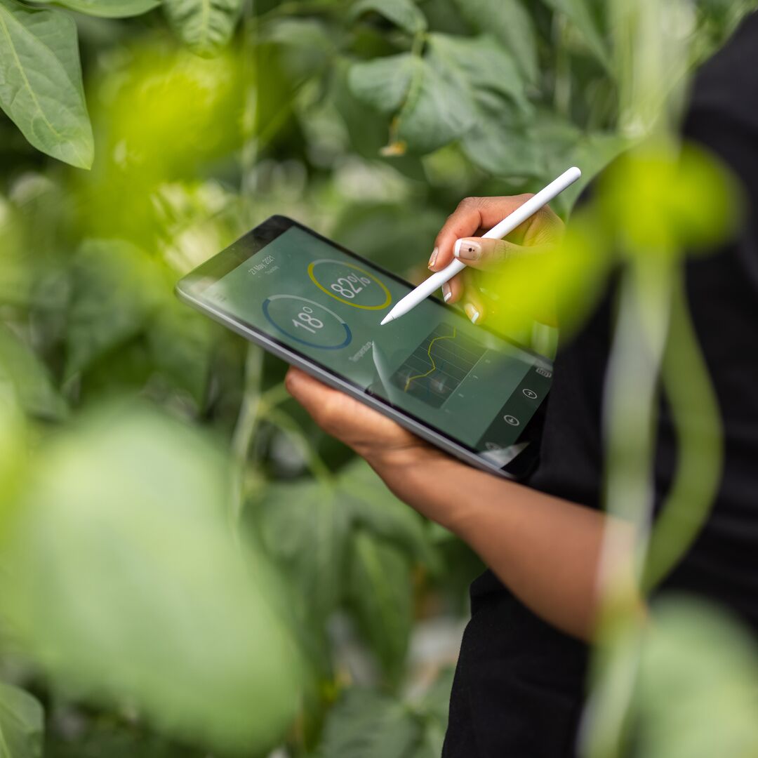 Hitachi Digital Services and OneThird Fight Supermarket Food Waste With First-of-its-Kind Digital Solution