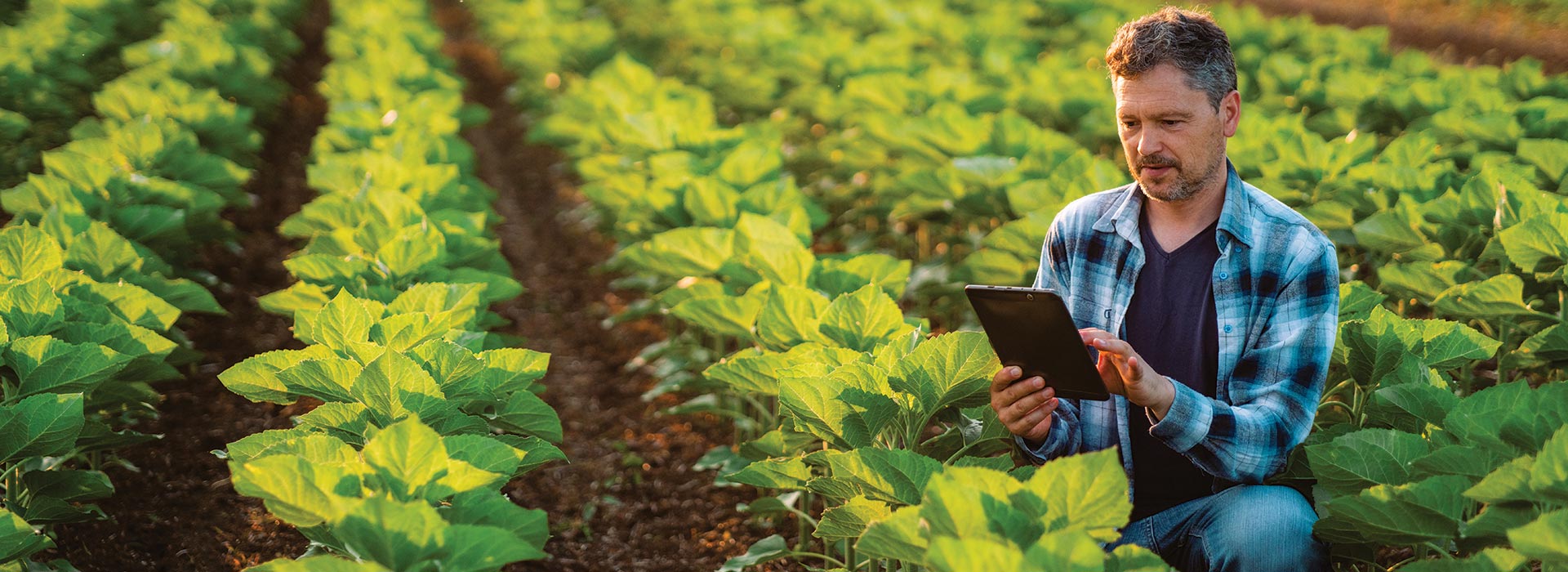 Bringing the Environmental Fight to Food Waste