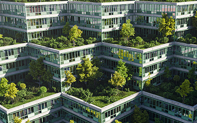 Sustainability Magazine