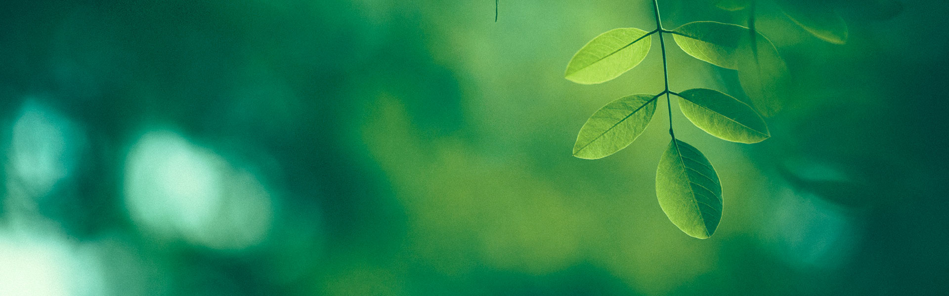 Sustainability Library