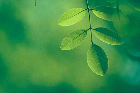 Artificial Intelligence in ESG Reporting: Transforming Compliance into Strategic Sustainability