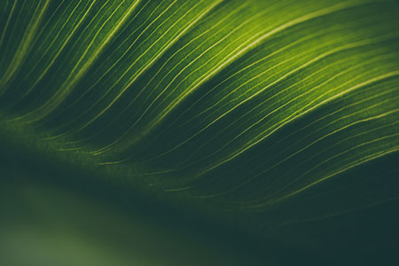 Silver Is the New Baseline: Why Our EcoVadis Achievement Matters