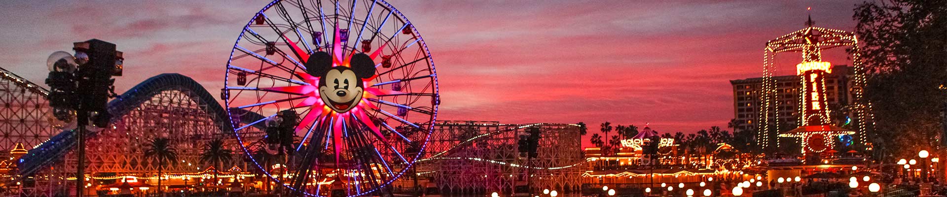 Data Solutions for Walt Disney World and Disneyland 