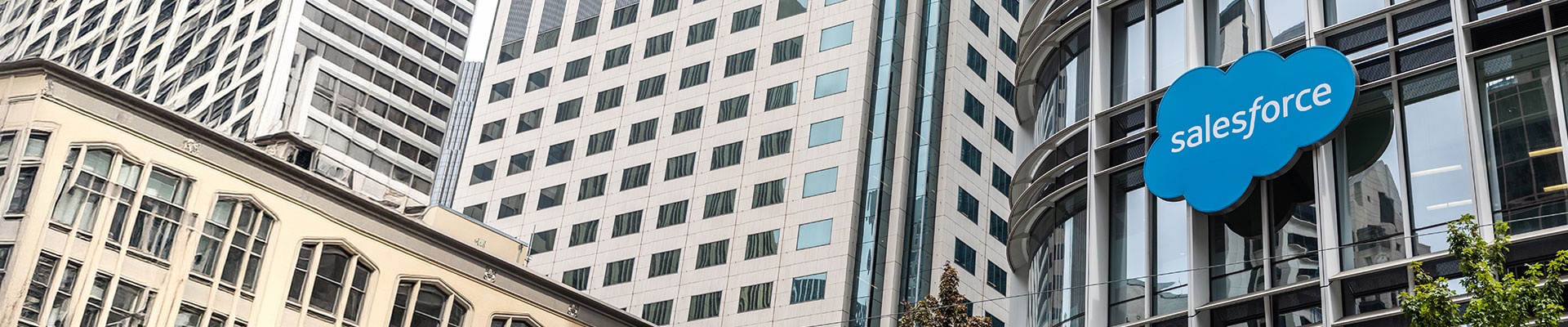 Global Business Planning Company Revitalizes Salesforce