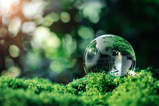 Strengthen Trust with Traceability and ESG Visibility