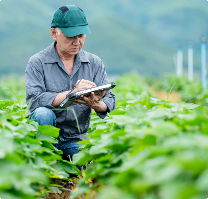 Bringing the Environmental <br> Fight to Food Waste