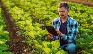 Bringing the Environmental Fight to Food Waste