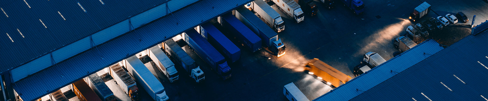 Blue Label Distribution: Oracle Cloud ERP Modernization
