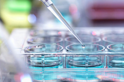 Reimagine Drug Discovery and Clinical Development